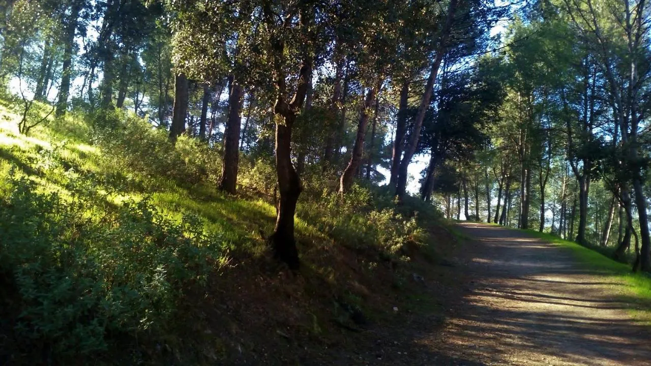 Alojamiento Rural Las Vinas Torredonjimeno Holiday home