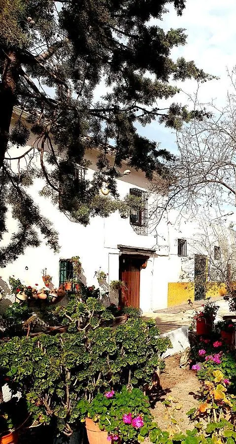 Alojamiento Rural Las Vinas Torredonjimeno Holiday home